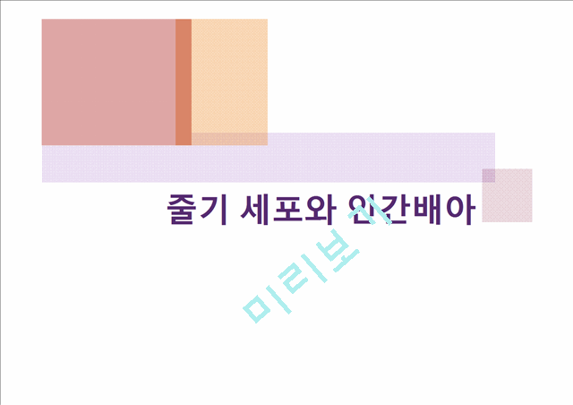 [3000원] 줄기세포와인간배아,줄기세포 연구의 단점(문제점),인간 복제의 가능성,배아 줄기 세포 활용 사례.pptx